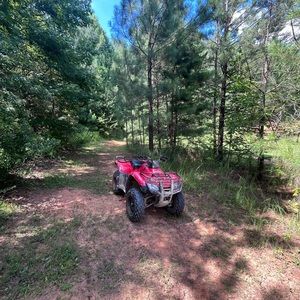 Meet your Posher, Jackson